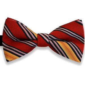 Papion rosu, clasic, model Different Stripes